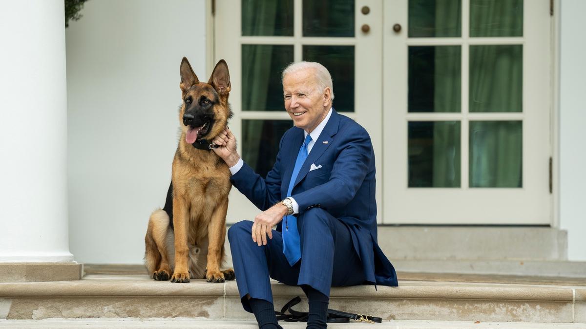 El Perro De Biden Lo Vuelve A Hacer; Es Sacado De La Casa Blanca Con Posibilidad De No Volver