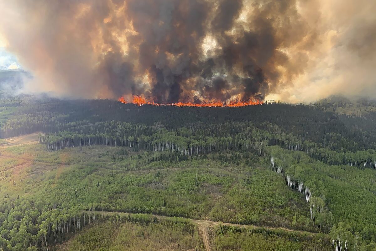 Incendios Forestales En Canadá Generaron Un Récord De Emisiones De Carbono