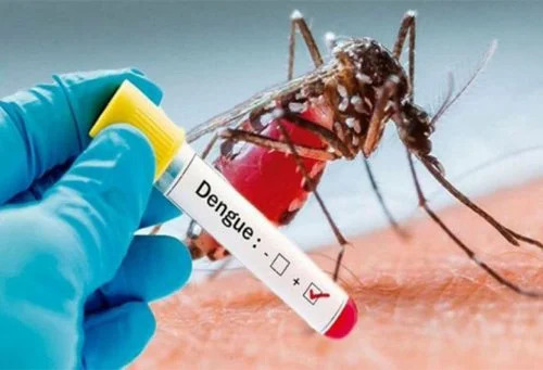 Msp: Dengue Registra Ligera Disminución Y Aumentan Casos De Influenza