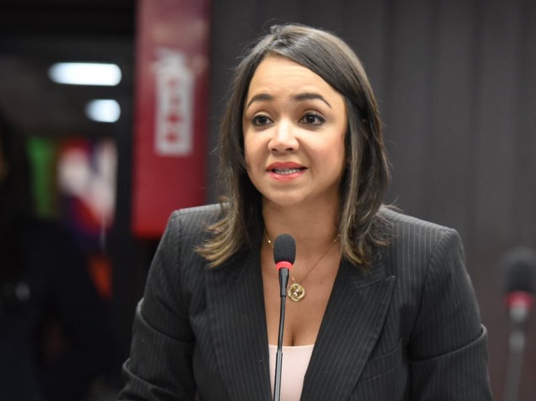 Faride Confirma Va Por La Senaduría Del Distrito Nacional